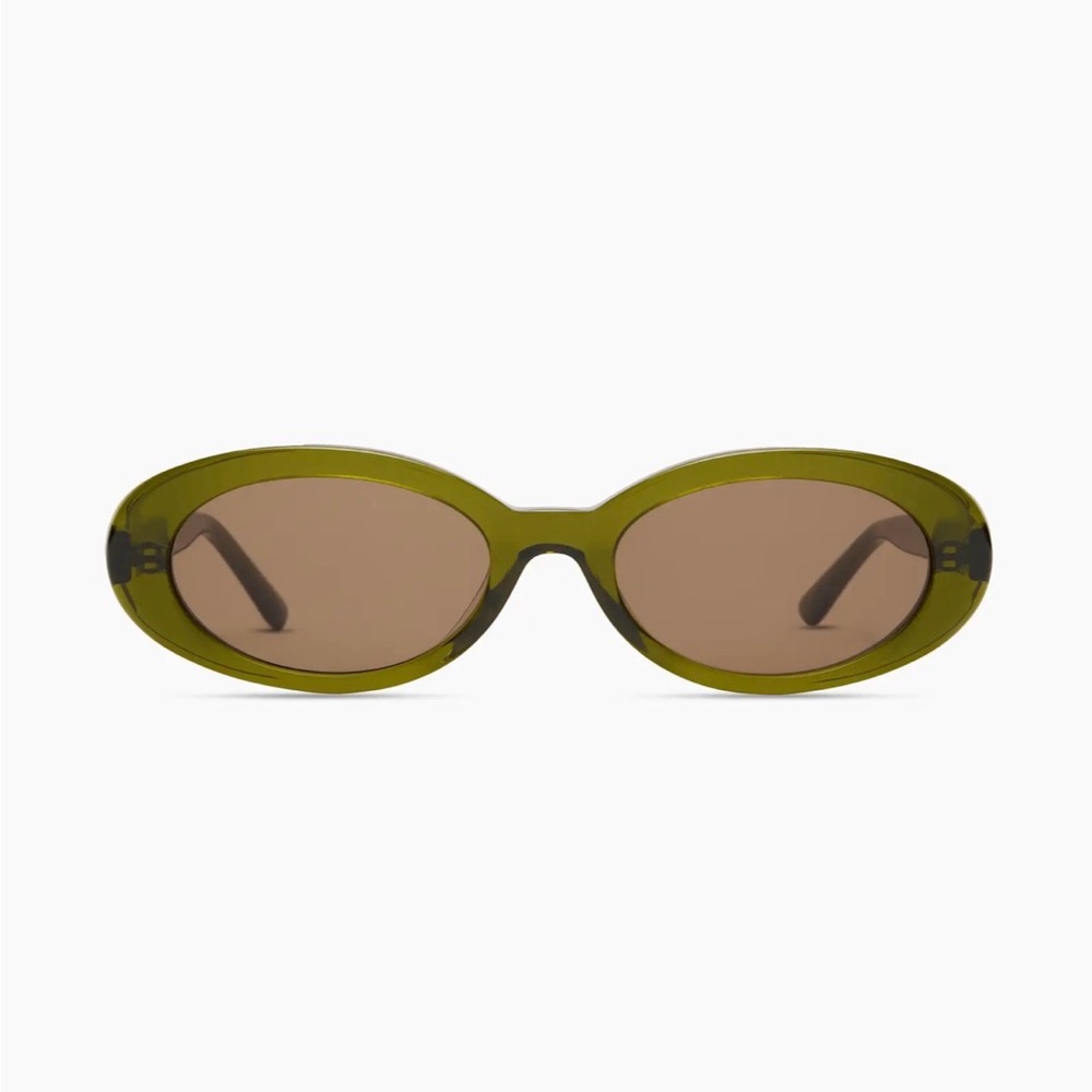Brand New Quince Olive Sunglasses with Black Case